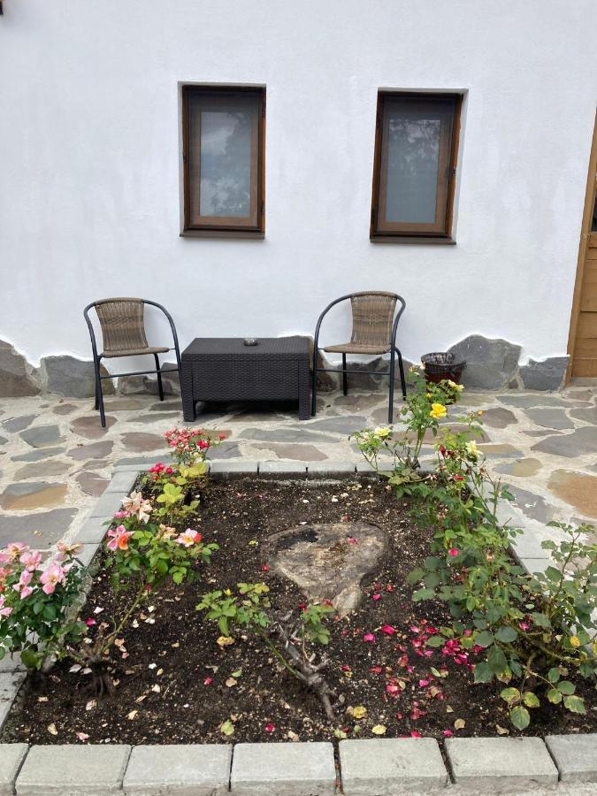 Livada Studio Apartments Braşov Exterior foto